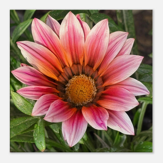 c230279f-dc7e-49ea-ac20-de68de7f9636