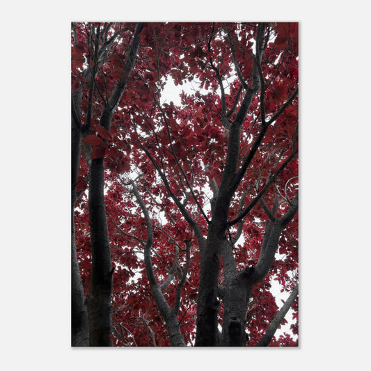 d0556482-45fe-4dc0-bbb5-0c71a5eb622c