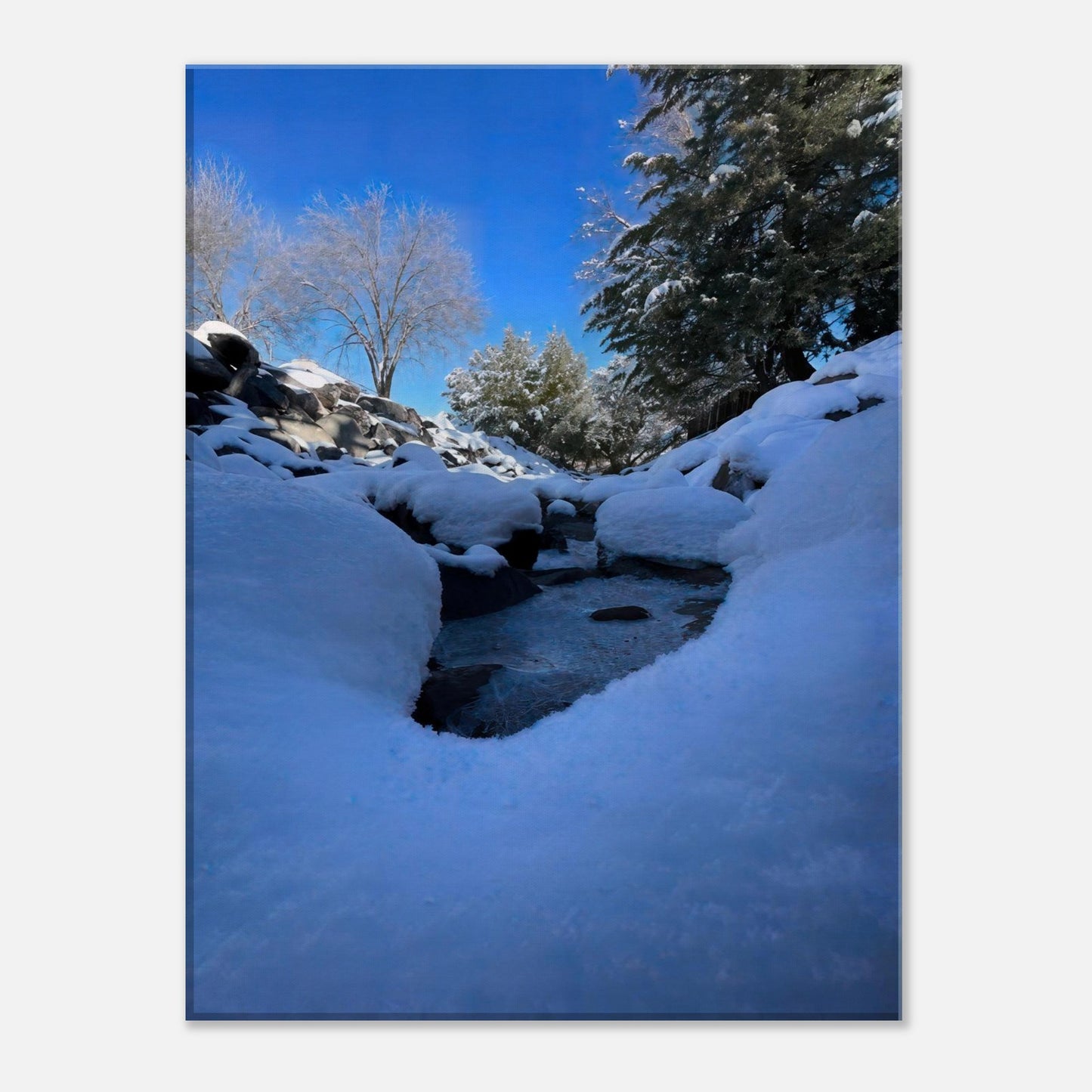 d381cb7f-4fc2-43d7-abb1-69c961e1a37b