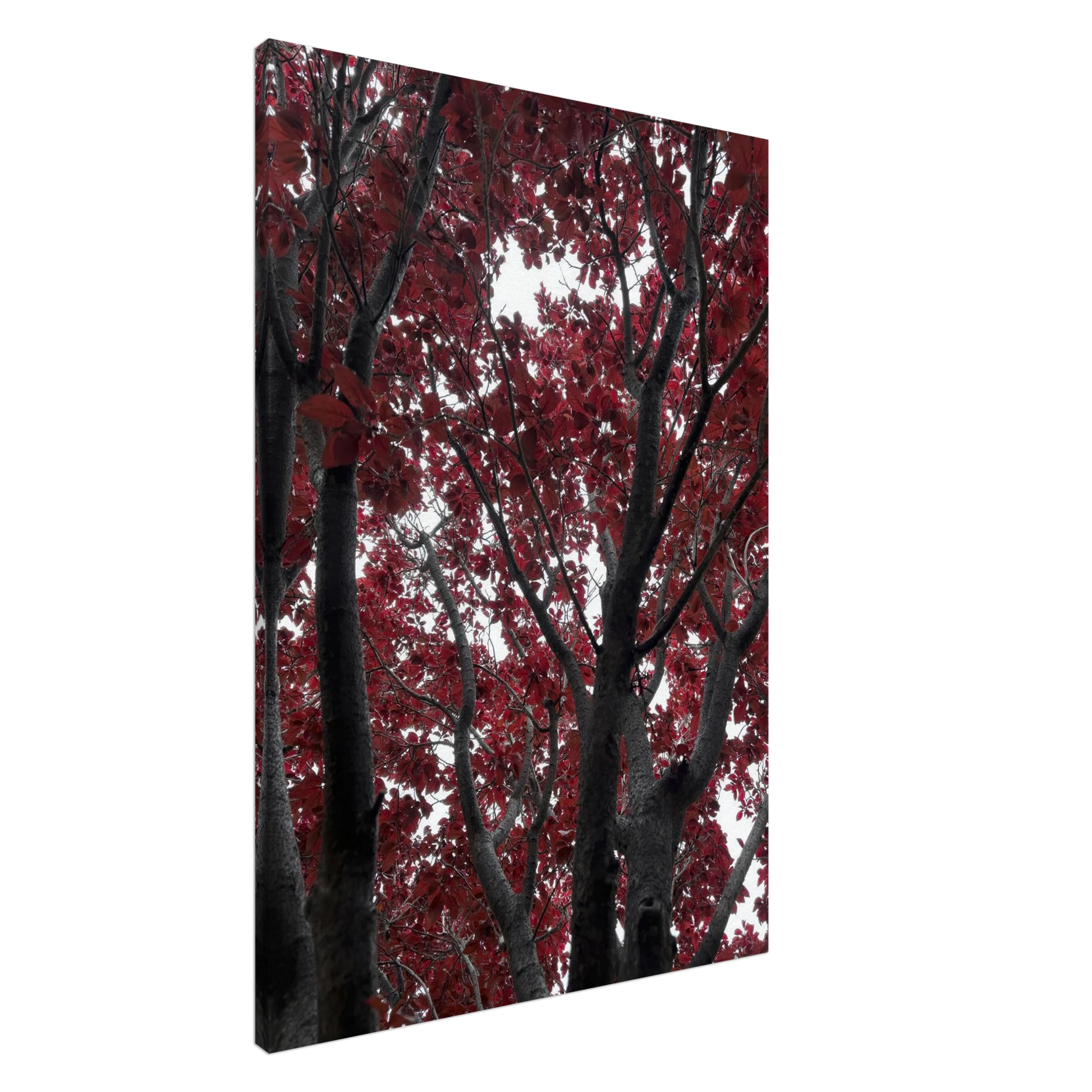 d55be8dd-8fda-425e-85a2-604bdba76908