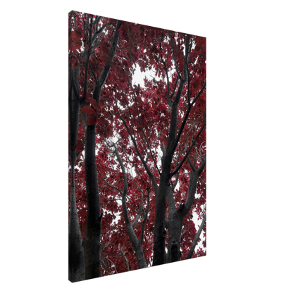 d55be8dd-8fda-425e-85a2-604bdba76908