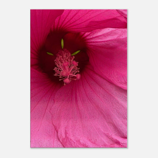 df402a7f-2b37-4ca8-a4e9-bb60ed527a90