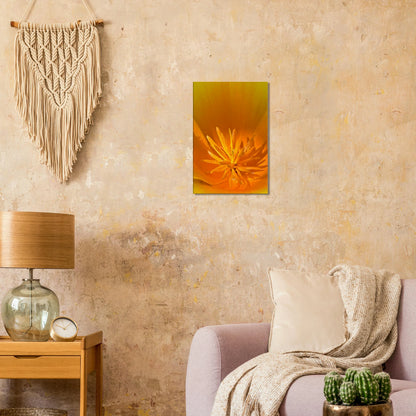 e2015a00-6863-4c9e-99b9-dcb7b1274698