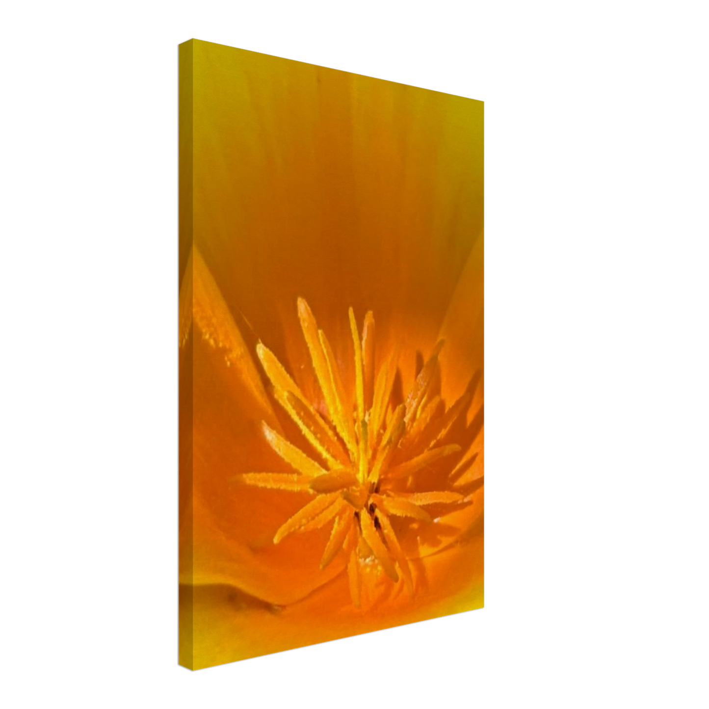 e8faee57-d752-4493-abae-51a0f609a404