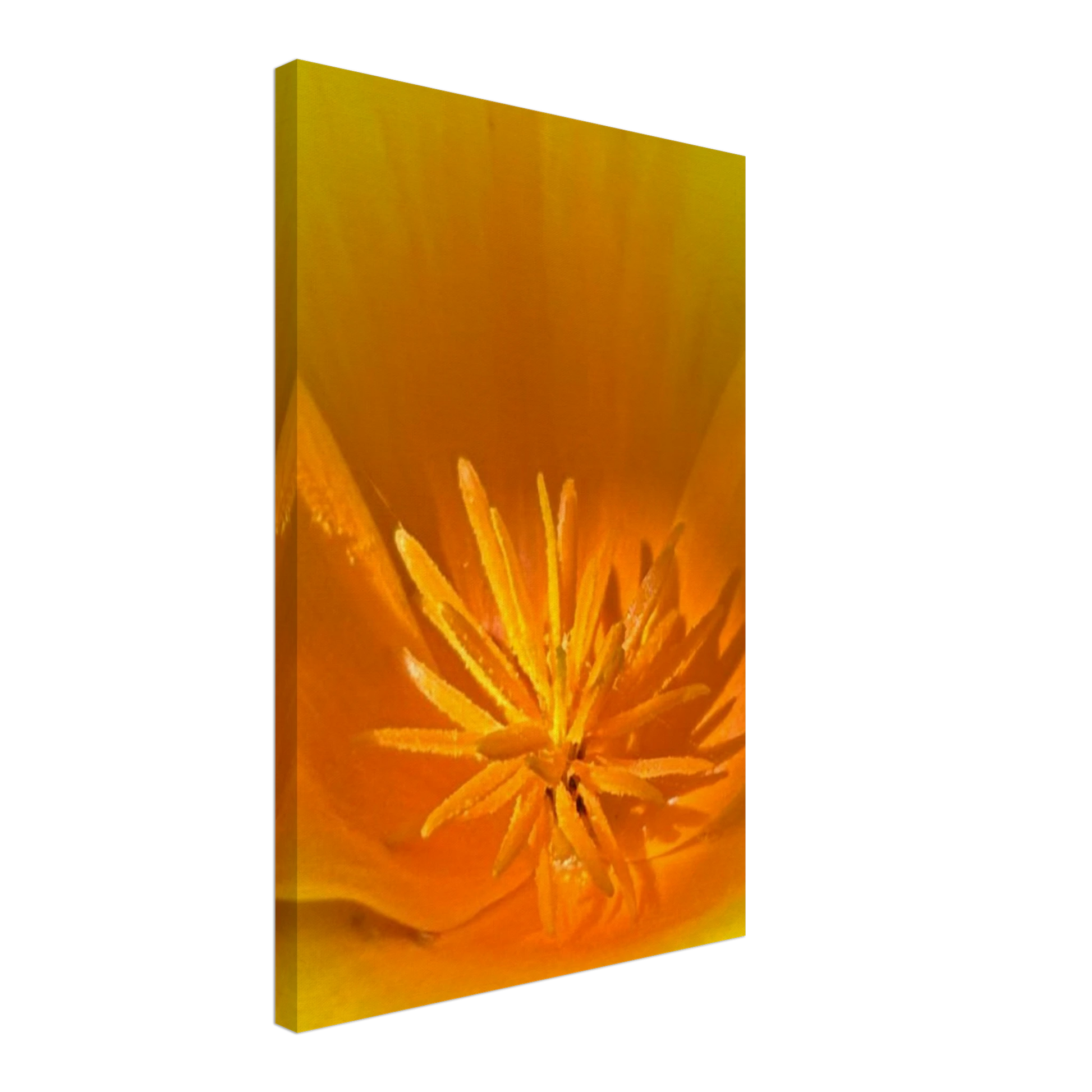 e8faee57-d752-4493-abae-51a0f609a404