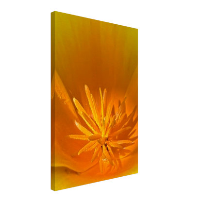 e8faee57-d752-4493-abae-51a0f609a404