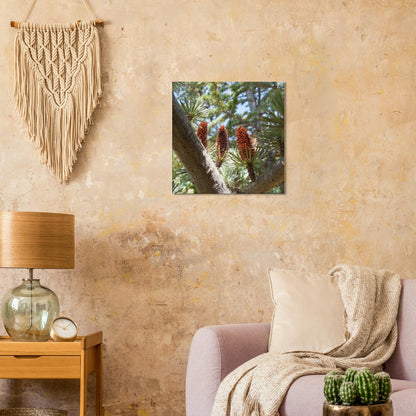 ed3b04e9-f2ec-47a3-a615-5cc5b9513e1c