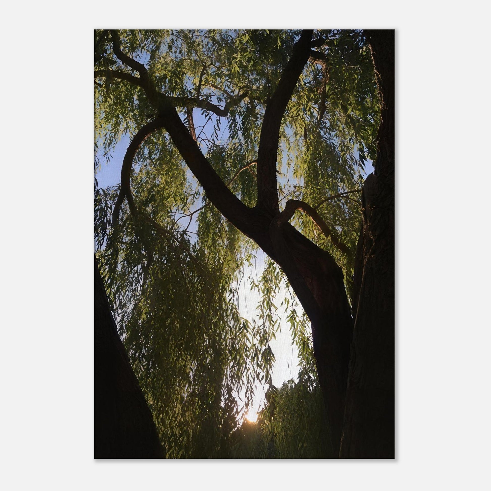 f0becb67-5757-4d82-b1bb-c7054ec049af