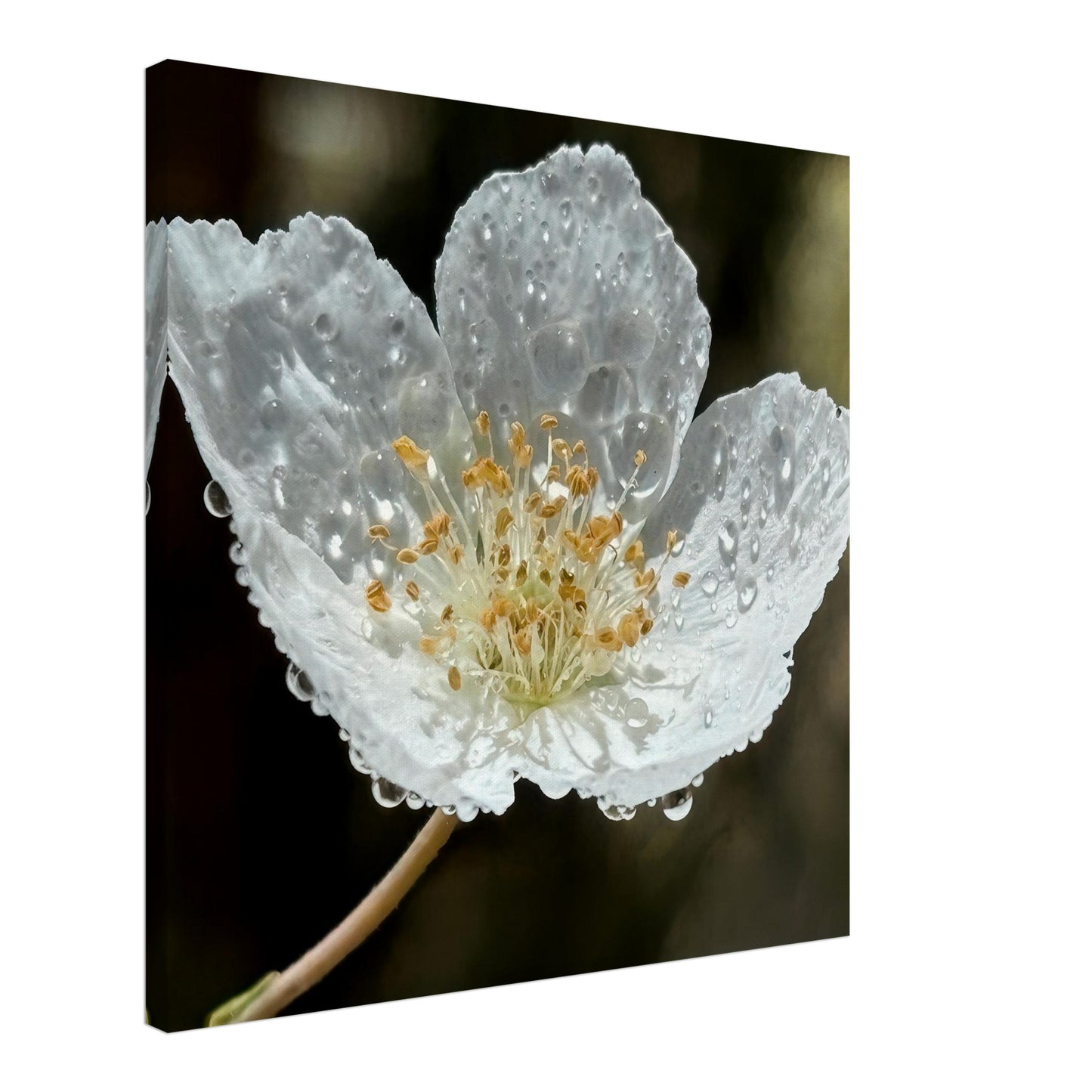 f7de5fba-9b21-4978-95c0-103f137e8107