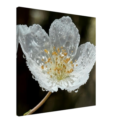 f7de5fba-9b21-4978-95c0-103f137e8107