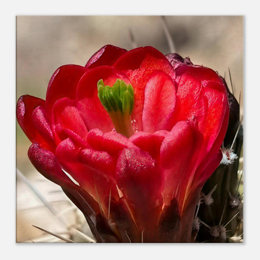 fa0a9a2f-42fe-45fe-a25c-972277e5de41