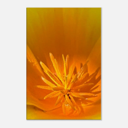 fc953a6d-44b6-4d2d-9d97-98aa53f8bc9e