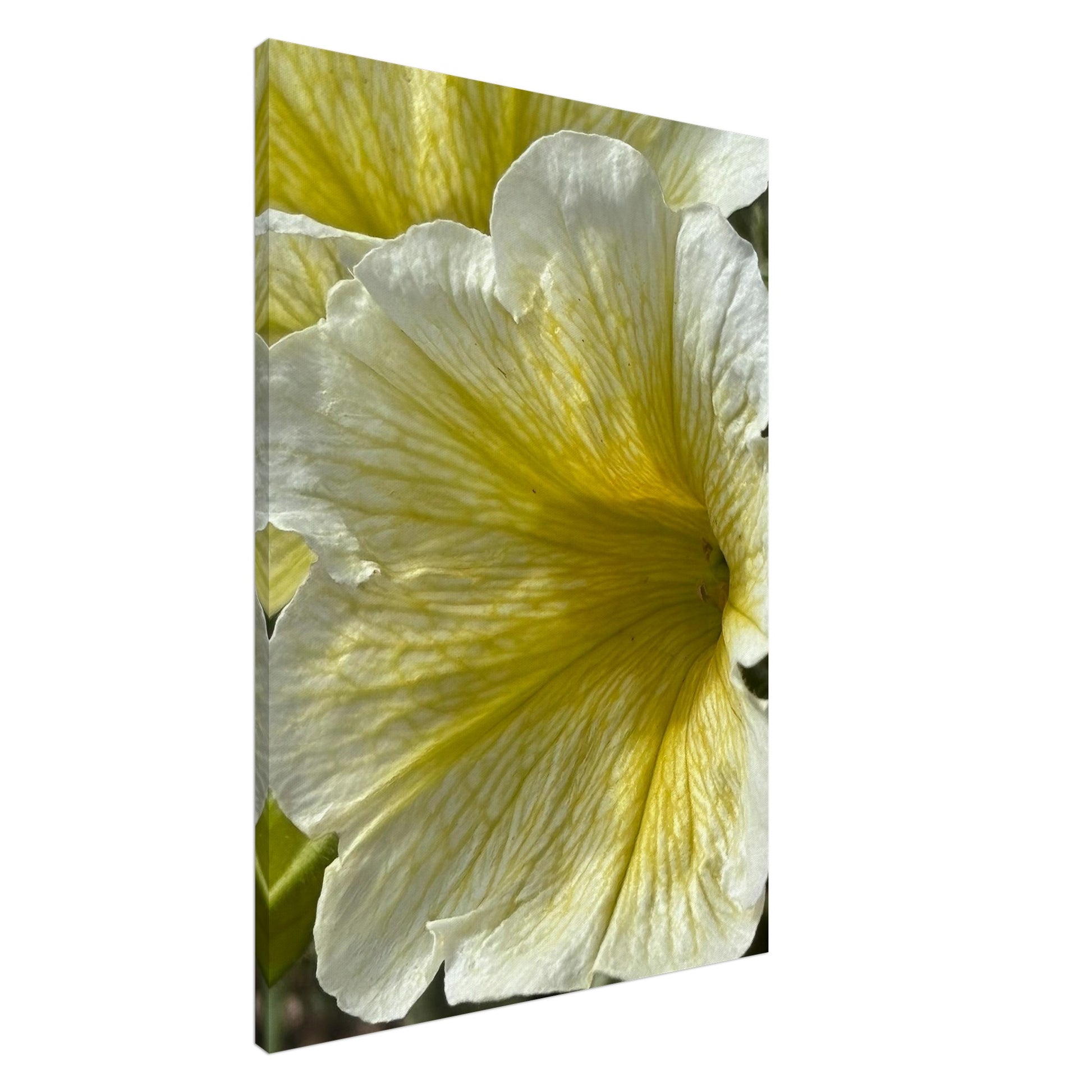 ff92a49b-40b7-419c-b87b-101d9f36be3e